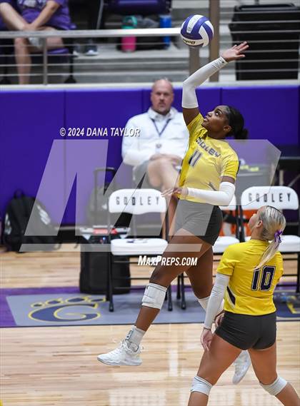 Thumbnail 2 in Ponder @ Godley photogallery.
