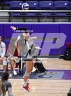 Photo from the gallery "Ponder @ Godley"