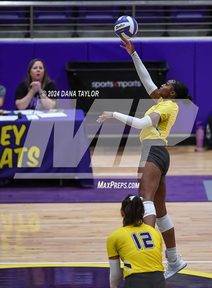 Thumbnail 2 in Ponder @ Godley photogallery.