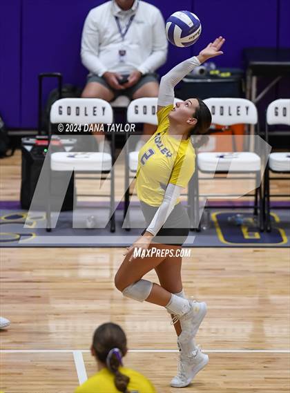 Thumbnail 2 in Ponder @ Godley photogallery.