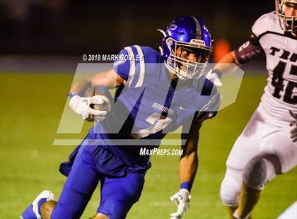 Thumbnail 1 in Troy @ Robinson photogallery.