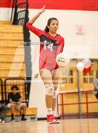 Photo from the gallery "Rincon/University @ Tucson High Magnet School"