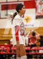 Photo from the gallery "Rincon/University @ Tucson High Magnet School"
