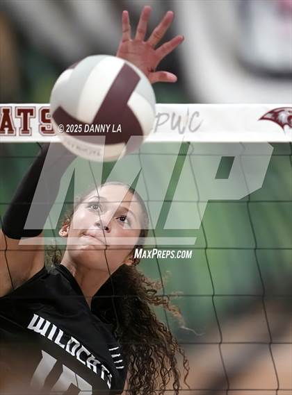 Thumbnail 1 in James Wood @ Warren County photogallery.