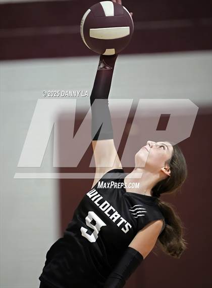 Thumbnail 2 in James Wood @ Warren County photogallery.