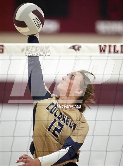 Thumbnail 3 in James Wood @ Warren County photogallery.