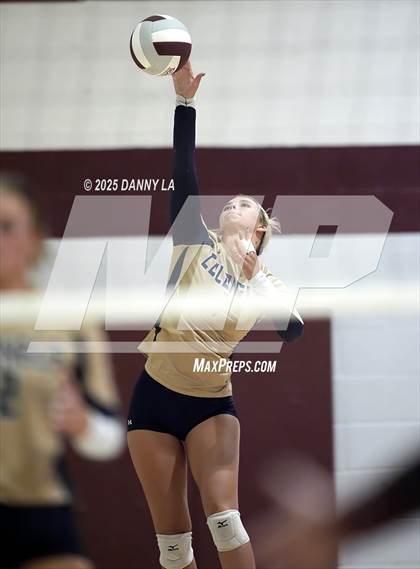 Thumbnail 2 in James Wood @ Warren County photogallery.