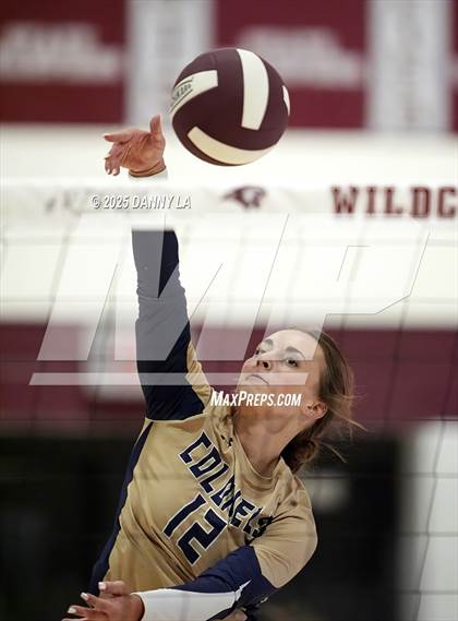 Thumbnail 1 in James Wood @ Warren County photogallery.