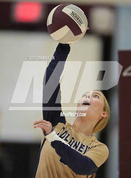 Thumbnail 3 in James Wood @ Warren County photogallery.