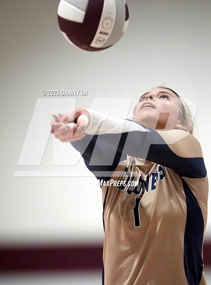 Thumbnail 1 in James Wood @ Warren County photogallery.