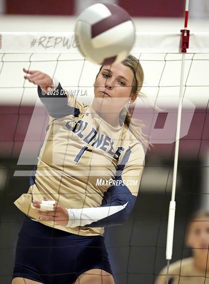 Thumbnail 3 in James Wood @ Warren County photogallery.