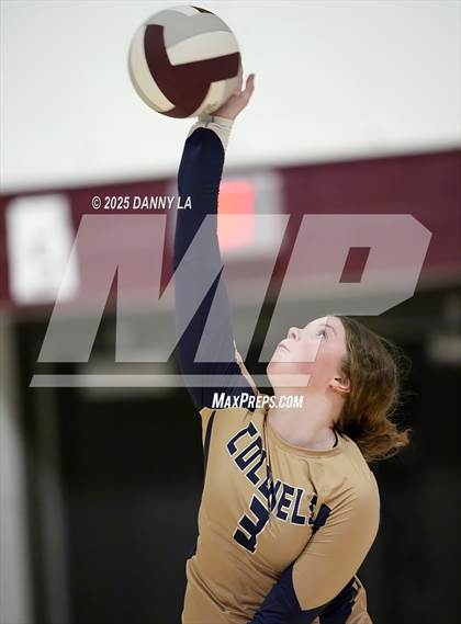 Thumbnail 1 in James Wood @ Warren County photogallery.