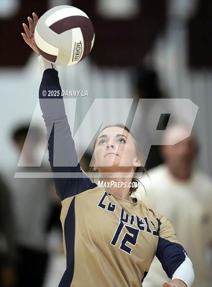 Thumbnail 1 in James Wood @ Warren County photogallery.