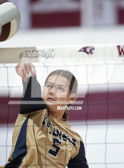 Thumbnail 1 in James Wood @ Warren County photogallery.