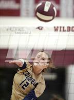 Photo from the gallery "James Wood @ Warren County"