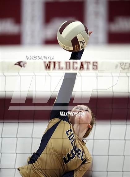 Thumbnail 2 in James Wood @ Warren County photogallery.