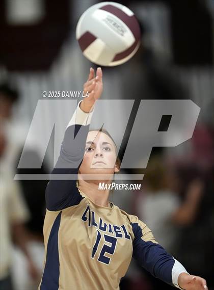 Thumbnail 2 in James Wood @ Warren County photogallery.