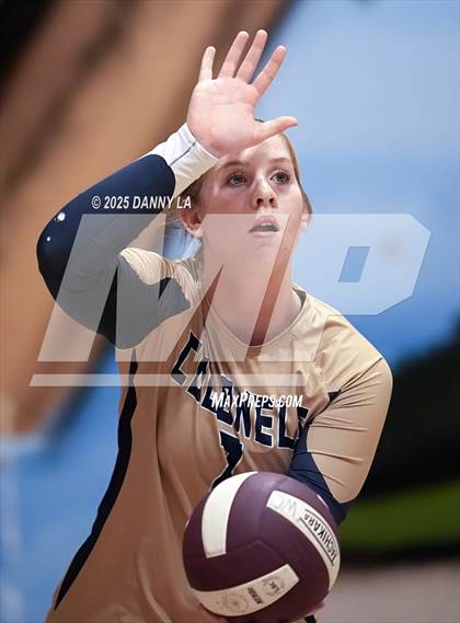 Thumbnail 3 in James Wood @ Warren County photogallery.