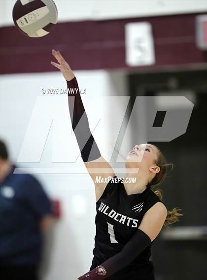 Thumbnail 2 in James Wood @ Warren County photogallery.