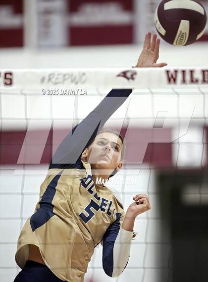 Thumbnail 3 in James Wood @ Warren County photogallery.