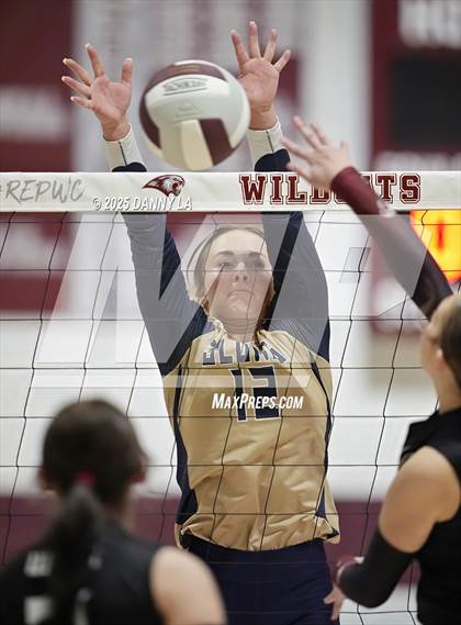 Thumbnail 2 in James Wood @ Warren County photogallery.