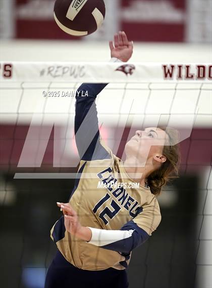 Thumbnail 3 in James Wood @ Warren County photogallery.