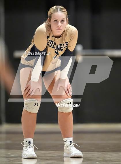 Thumbnail 2 in James Wood @ Warren County photogallery.