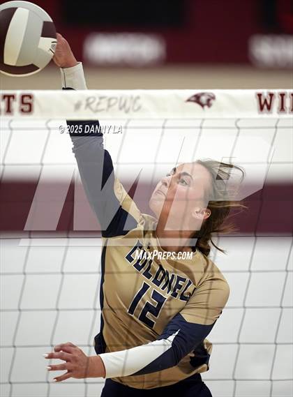 Thumbnail 2 in James Wood @ Warren County photogallery.