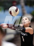 Photo from the gallery "James Wood @ Warren County"