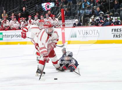 Thumbnail 3 in Regis Jesuit vs Chaparral (CHSAA Hockey Semifinal) photogallery.