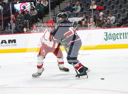 Thumbnail 2 in Regis Jesuit vs Chaparral (CHSAA Hockey Semifinal) photogallery.