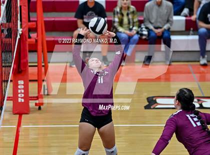 Thumbnail 2 in Wes-Del @ Cowan (Delaware County Tournament)  photogallery.