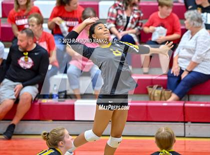Thumbnail 2 in Wes-Del @ Cowan (Delaware County Tournament)  photogallery.