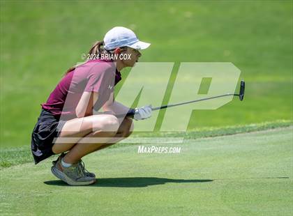 Thumbnail 3 in Harrison Invite photogallery.