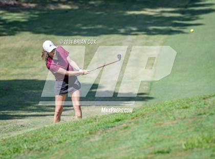 Thumbnail 3 in Harrison Invite photogallery.