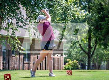 Thumbnail 1 in Harrison Invite photogallery.