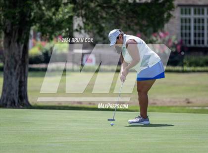 Thumbnail 1 in Harrison Invite photogallery.