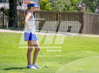 Thumbnail 3 in Harrison Invite photogallery.