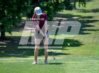 Thumbnail 2 in Harrison Invite photogallery.