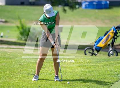 Thumbnail 3 in Harrison Invite photogallery.