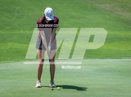 Thumbnail 3 in Harrison Invite photogallery.