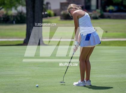 Thumbnail 3 in Harrison Invite photogallery.