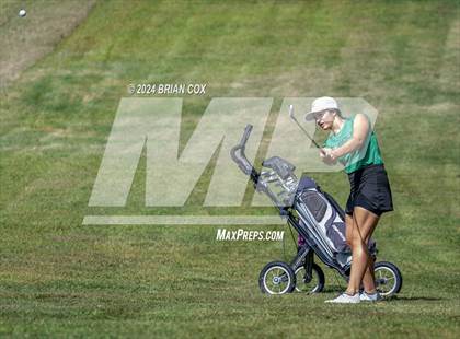 Thumbnail 1 in Harrison Invite photogallery.