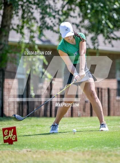 Thumbnail 3 in Harrison Invite photogallery.