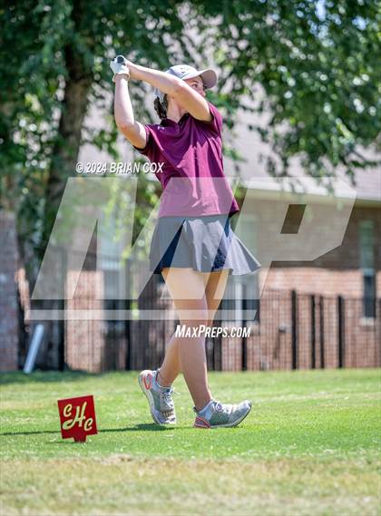 Thumbnail 3 in Harrison Invite photogallery.