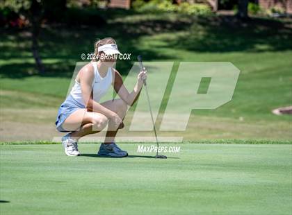 Thumbnail 3 in Harrison Invite photogallery.