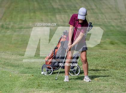 Thumbnail 1 in Harrison Invite photogallery.