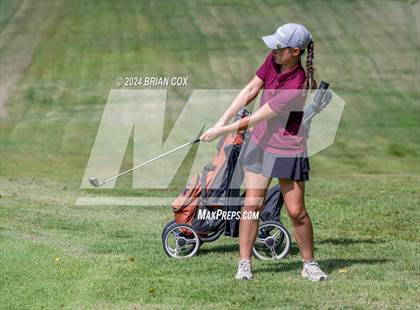 Thumbnail 3 in Harrison Invite photogallery.