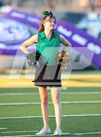 Thumbnail 1 in Jacksboro @ Boyd photogallery.