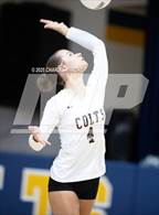 Photo from the gallery "Pine Forest @ Cape Fear"